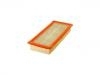 Air Filter:5F9Z-9601-AA