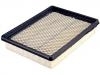 Air Filter:10342024